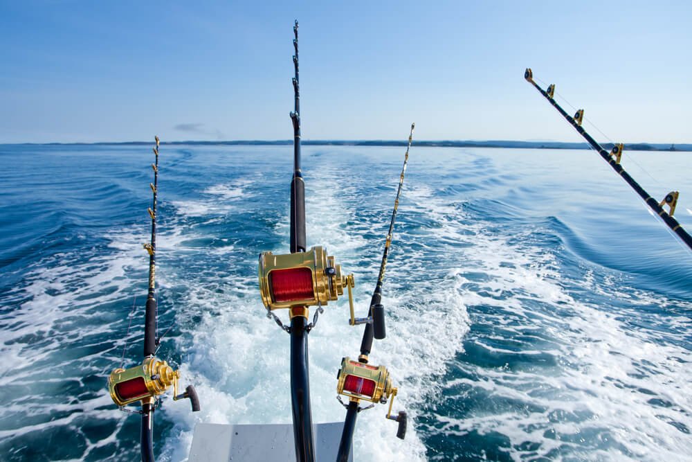 Pesca em Alto Mar: 3 Dicas Para Pescaria em Alto Mar!