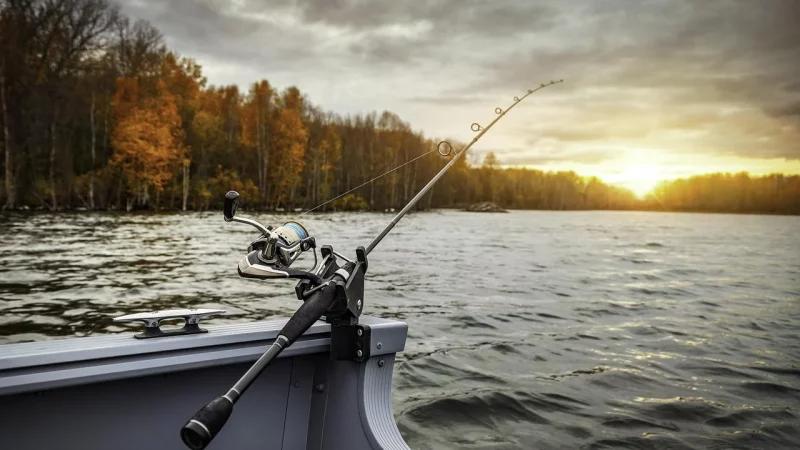 Pesca Embarcada: Dicas, Cuidados, Iscas e Equipamentos!