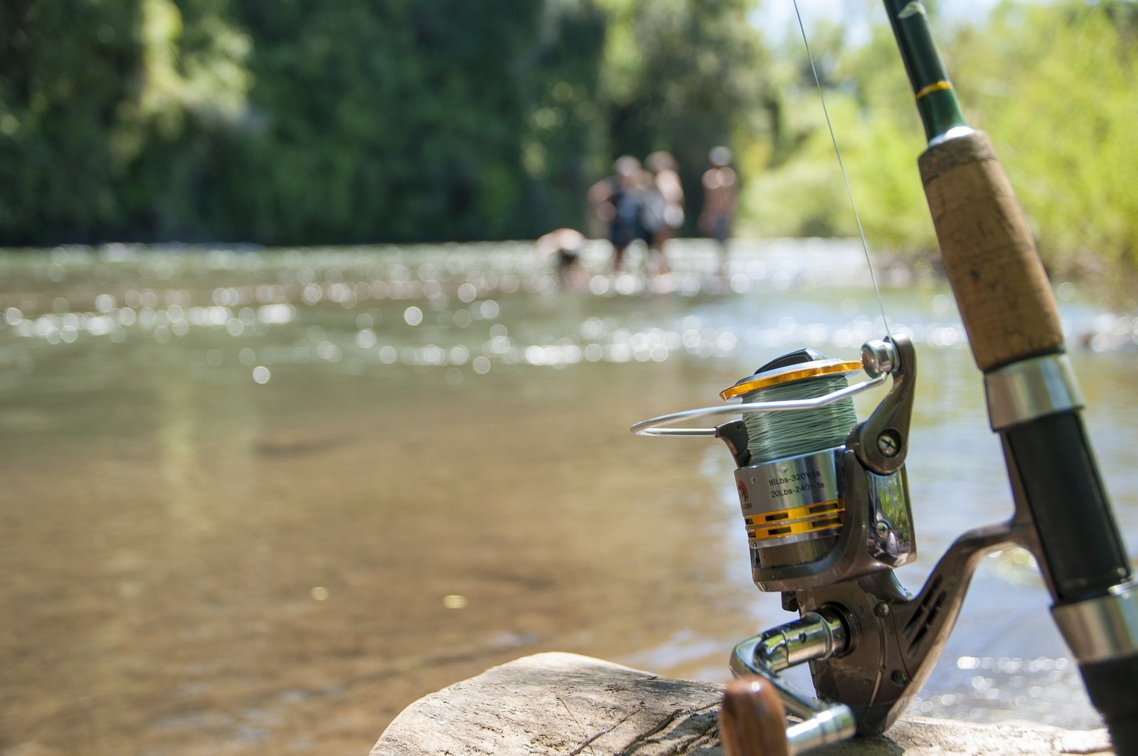 Conheça os 4 Melhores Apps de Pesca Esportiva!