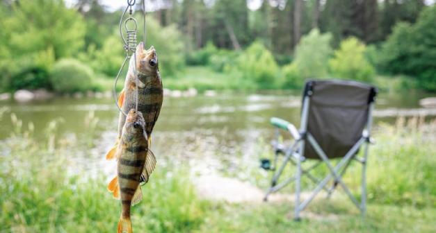 Como Potencializar sua Pesca com Atrativos